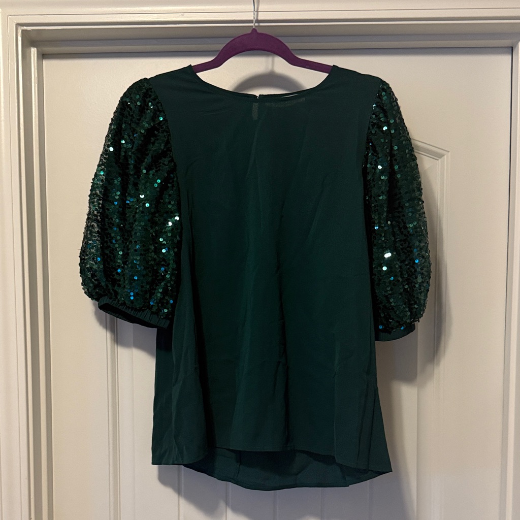 Vine & Love Dark Green Sequin Sleeve Blouse